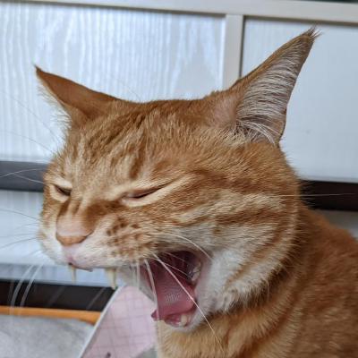 ろぐ